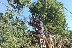 IMG_20250624_132835