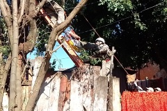 IMG_20250624_133951