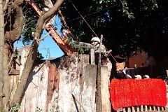 IMG_20250624_133954