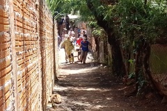 IMG_20251031_125641