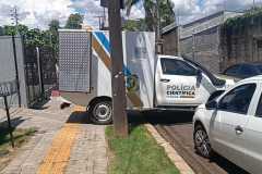 IMG-20250208-WA0196