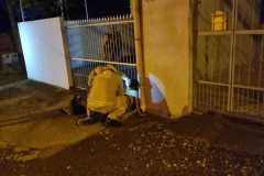 IMG-20251121-WA0038