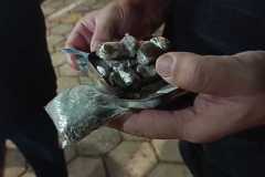 IMG-20250223-WA0010