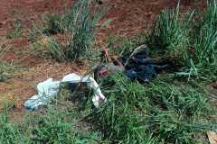 IMG-20250223-WA0051