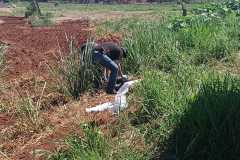 IMG-20250223-WA0054
