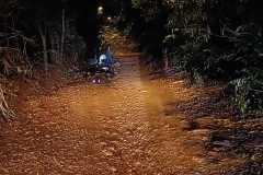 IMG-20250321-WA0132
