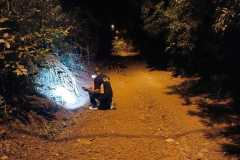 IMG-20250321-WA0136