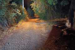 IMG-20250321-WA0137
