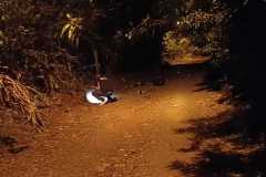 IMG-20250321-WA0138