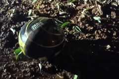 IMG-20250321-WA0142