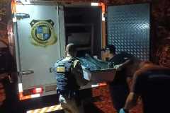 IMG-20250321-WA0150