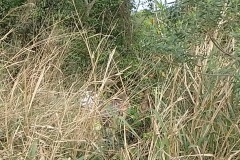 IMG_20250929_093430