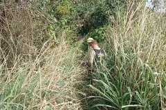IMG_20250929_094005