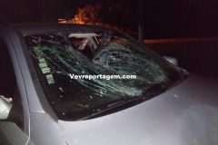 5fe5db18-82dc-467e-be85-376a422d8ebe