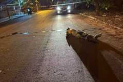 IMG-20240404-WA0032
