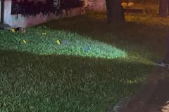IMG-20240401-WA0035