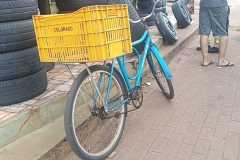 IMG-20250207-WA0251