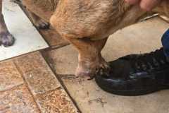 IMG-20251107-WA0377