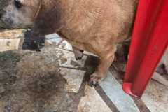 IMG-20251107-WA0378