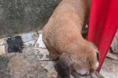 IMG-20251107-WA0379