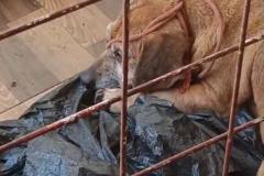 IMG-20251107-WA0380
