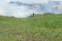 IMG_20250211_145109_1