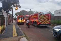 IMG-20260116-WA0236