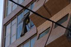 IMG-20250524-WA0310