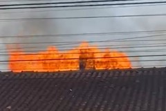 InFrame_1765314497533