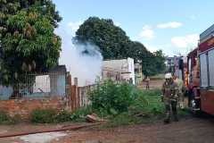 IMG-20250313-WA0178