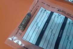 IMG-20250804-WA0374