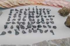 IMG-20250424-WA0077
