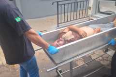 IMG-20251209-WA0110