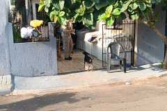 IMG-20250227-WA0170