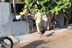 IMG-20250227-WA0171