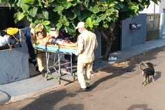 IMG-20250227-WA0172