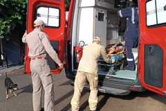 IMG-20250227-WA0178