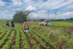 IMG-20251018-WA0087