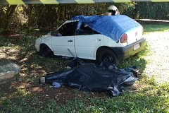 IMG_20250511_111338