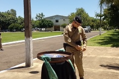 IMG_20251119_120248