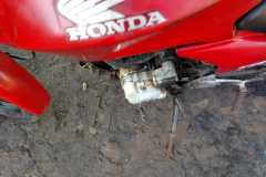 IMG-20250524-WA0324