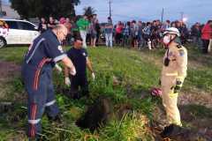 IMG-20250829-WA0042