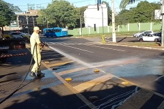 IMG_20241109_074800