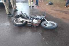 IMG-20241204-WA0195