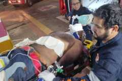 IMG-20251110-WA0007