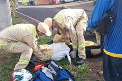 IMG-20250222-WA0056