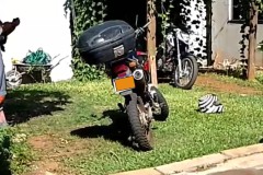 InFrame_1747155543347