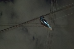 IMG_20250927_192849_MP