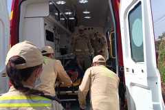 IMG-20250819-WA0165
