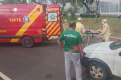 IMG-20250329-WA0187